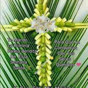 Meet your Posher, Omar